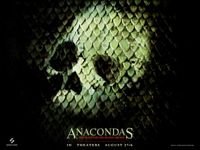 pic for Anacondas II